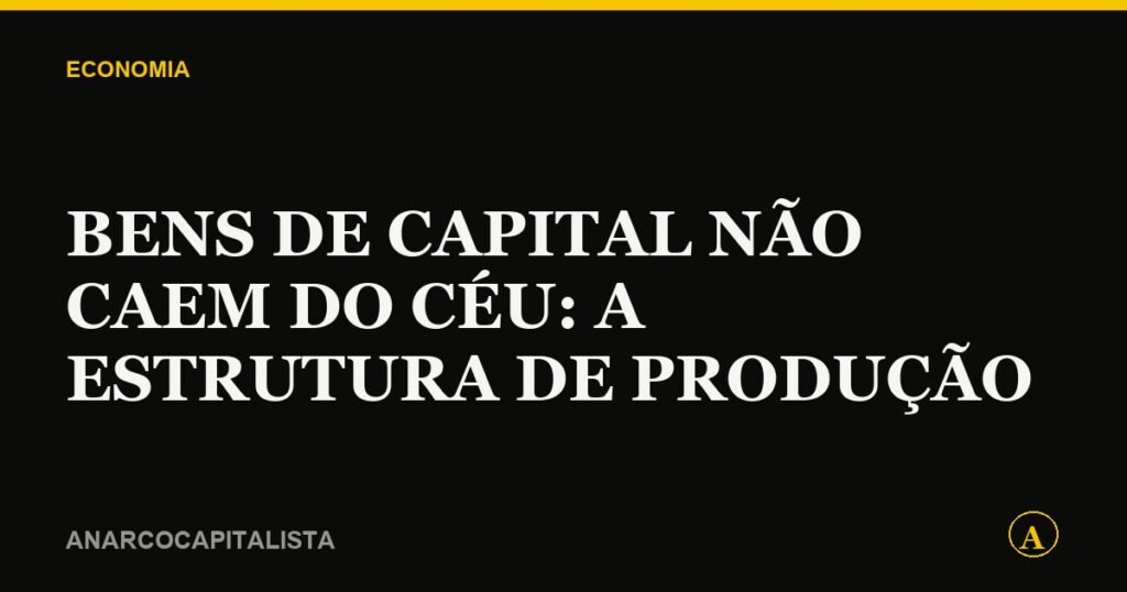 Bens de capital não caem do céu: a estrutura de produção