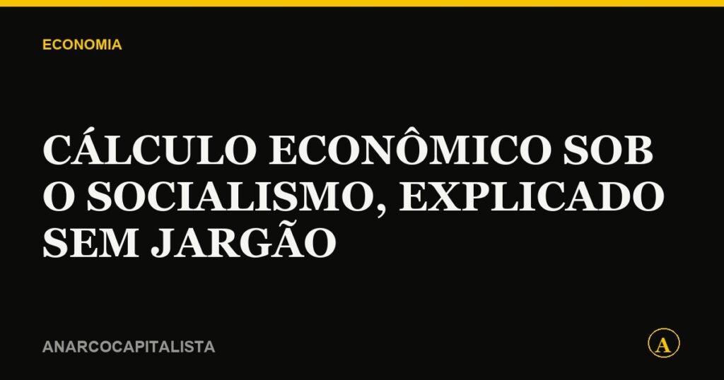 Cálculo econômico sob o socialismo, explicado sem jargão